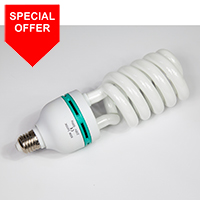 65W Low energy E27 spiral bulb